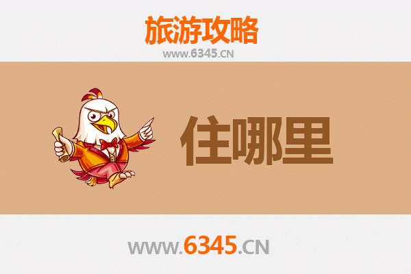 东莞麻涌镇旅游民宿全攻略：水乡风情与悠闲之旅